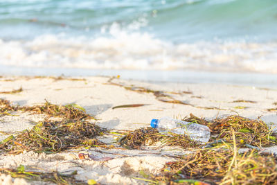 Surface level of water on beach