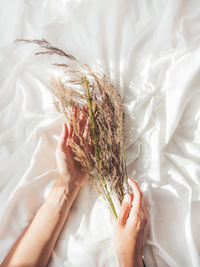 Woman hands with dried grass. flat lay still life concept. decorative plants on white fabric.