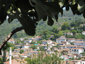 Buildings in city