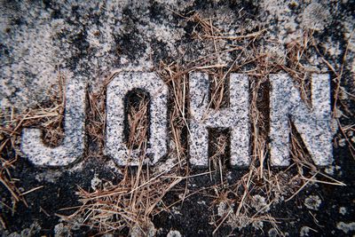 Close-up of text on snow covered land