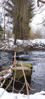 Frozen river amidst bare trees during winter