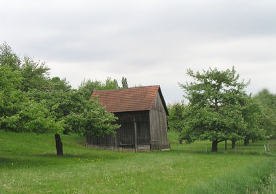 Trees and houses on field against sky