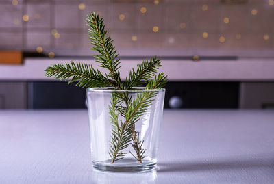 Close-up of glass plant on table