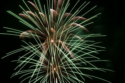 Low angle view of firework display at night