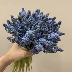 Close-up of hand holding flowers