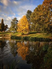 Trees by lake against sky during autumn