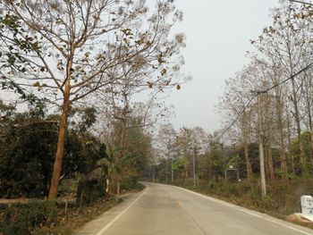 Road amidst trees against sky