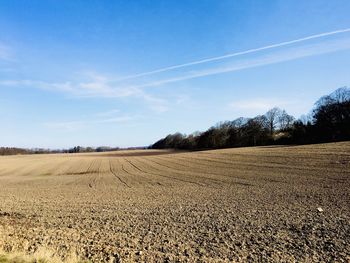 Scenic view of agricultural field against blue sky