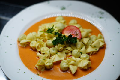 High angle view of meal served in plate