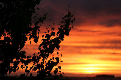 Low angle view of cloudy sky at sunset