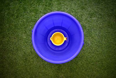 High angle view of blue bowl on grass