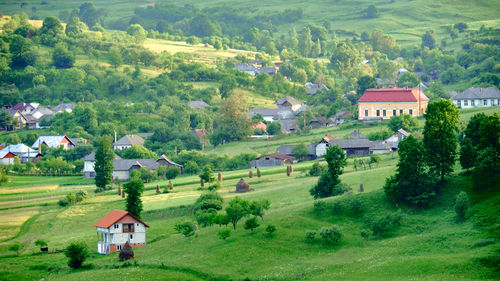 Trees and houses on field by green landscape