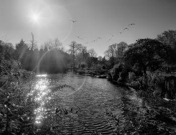 Scenic view of river against clear sky