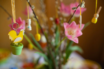 Close-up of pink flower buds