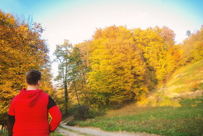 Rear view of man on autumn trees against sky