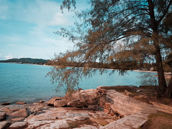 Scenic view of rocks by lake against sky