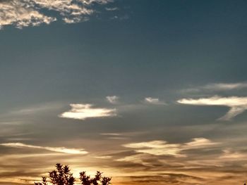 Low angle view of silhouette trees against sky