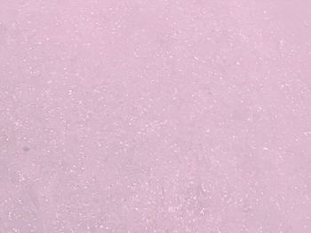 Full frame shot of purple flower