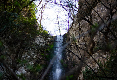 Scenic view of waterfall amidst trees in forest