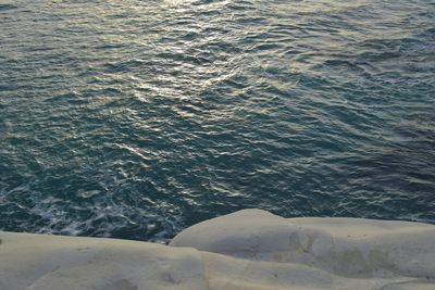 Close-up of sea shore