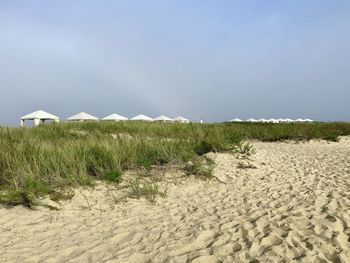 Scenic view of beach against clear sky