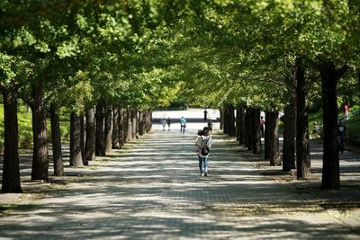 Man on road amidst trees