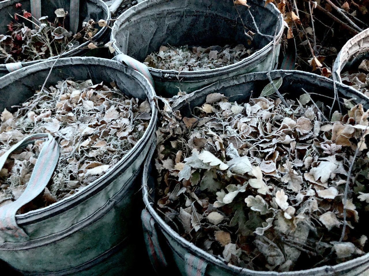 HIGH ANGLE VIEW OF DRY LEAVES ON METAL CONTAINER