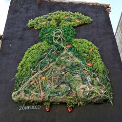 High angle view of potted plant against wall