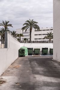 Cars on road by palm trees and buildings against sky