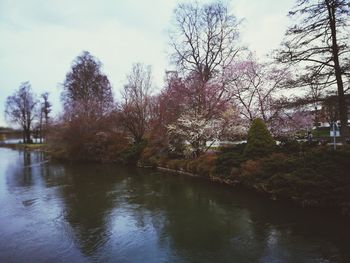 Scenic view of river amidst trees against sky