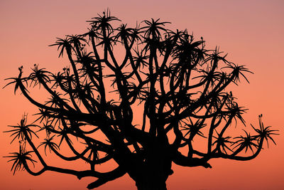 Low angle view of silhouette tree against sky during sunset