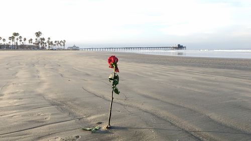 Man on beach against sky