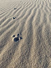 Full frame shot of sand at beach