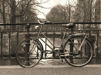 Bicycle on bare tree