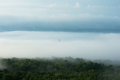 Aerial view transmission tower in green forest and smooth fog. high voltage power poles.