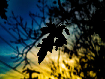 Low angle view of silhouette tree against sky