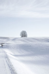 Scenic view of snow covered field against sky