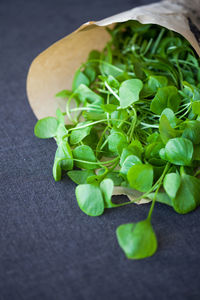 High angle view of vegetables in paper bag on table