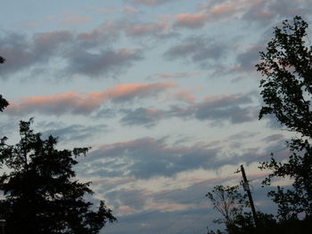 Low angle view of trees against cloudy sky