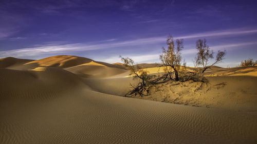 Scenic view of desert against blue sky