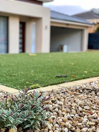 Close-up of stone wall in back yard