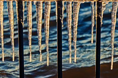 Close-up of icicles in sea during winter