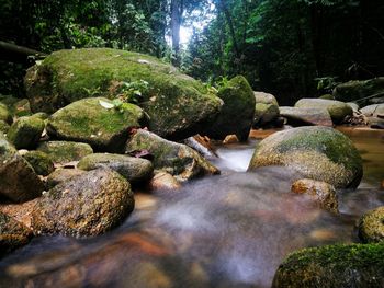 Stream flowing through rocks in forest