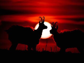 Silhouette people standing on field against orange sky