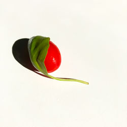 Close-up of red chili pepper against white background