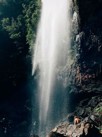 Scenic view of waterfall