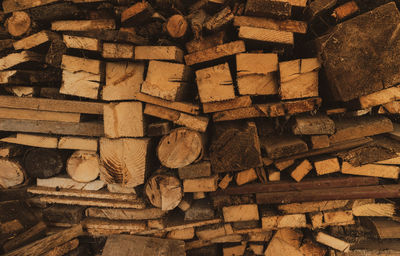 Stack of logs in forest