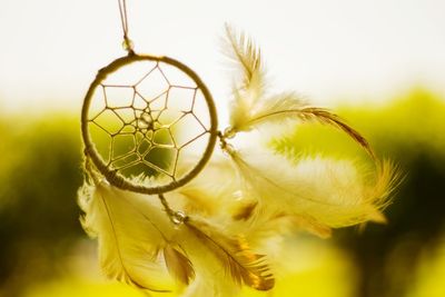 Close-up of feather hanging against sky