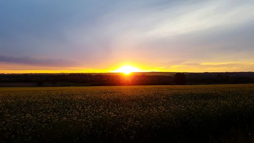 Scenic view of field against sky during sunset