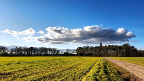 Scenic view of field against cloudy sky